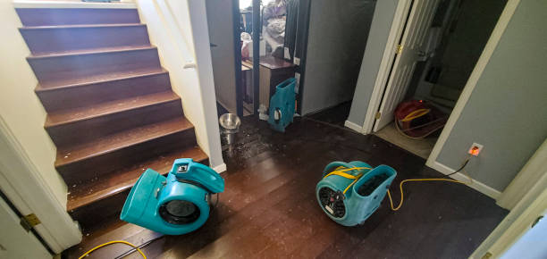 Best Water damage restoration near me  in Bell, CA