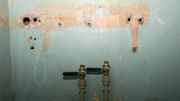 Best Flood damage cleanup  in Bell, CA