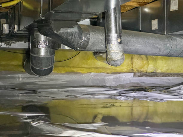 Best Local water damage restoration  in Bell, CA